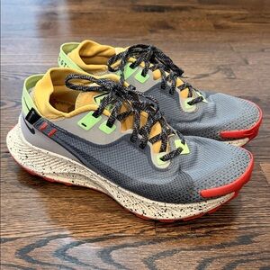 Nike Trail Pegasus GTX gore-tex
